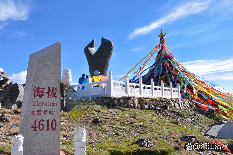 商务信息咨询服务：引领企业精准导航